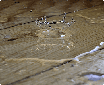 Water Mitigation
