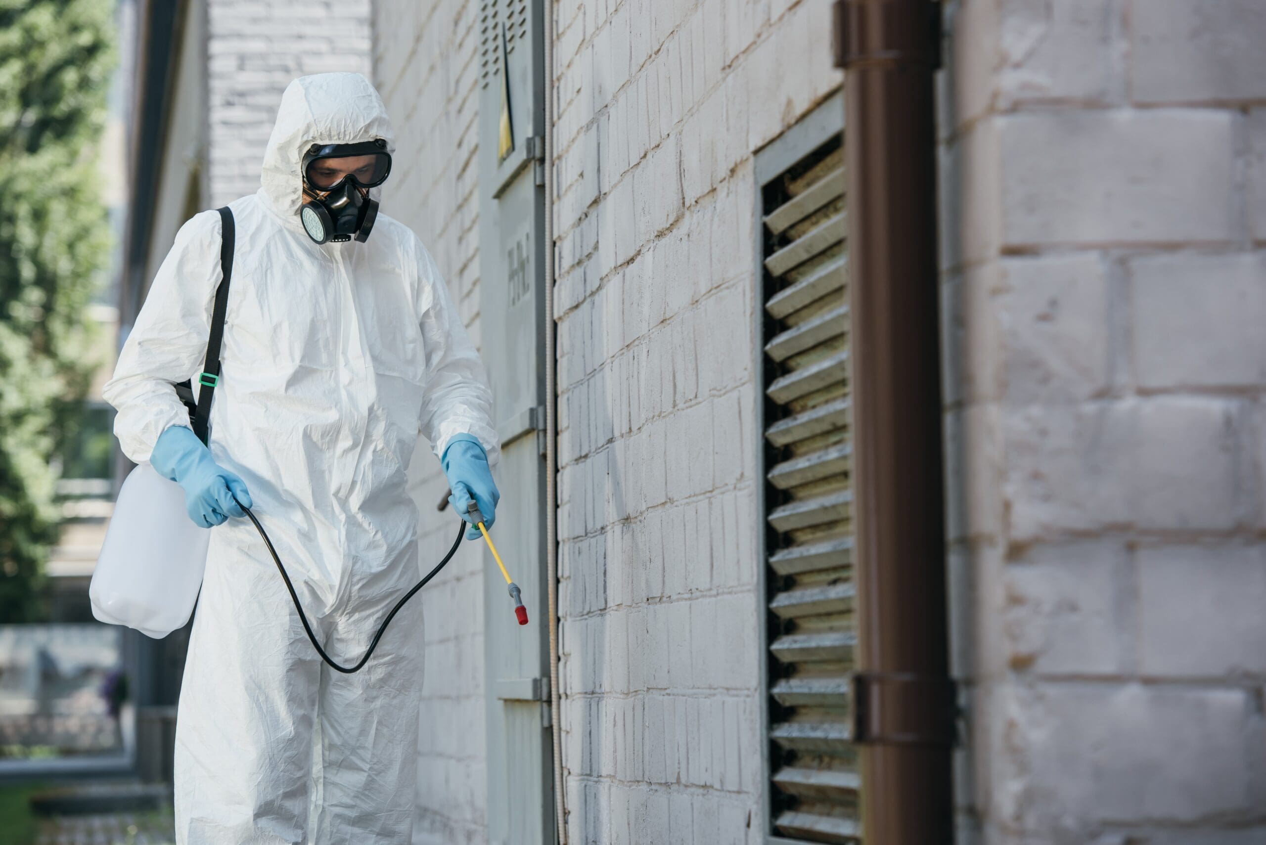 pest-control-worker-spraying-pesticides