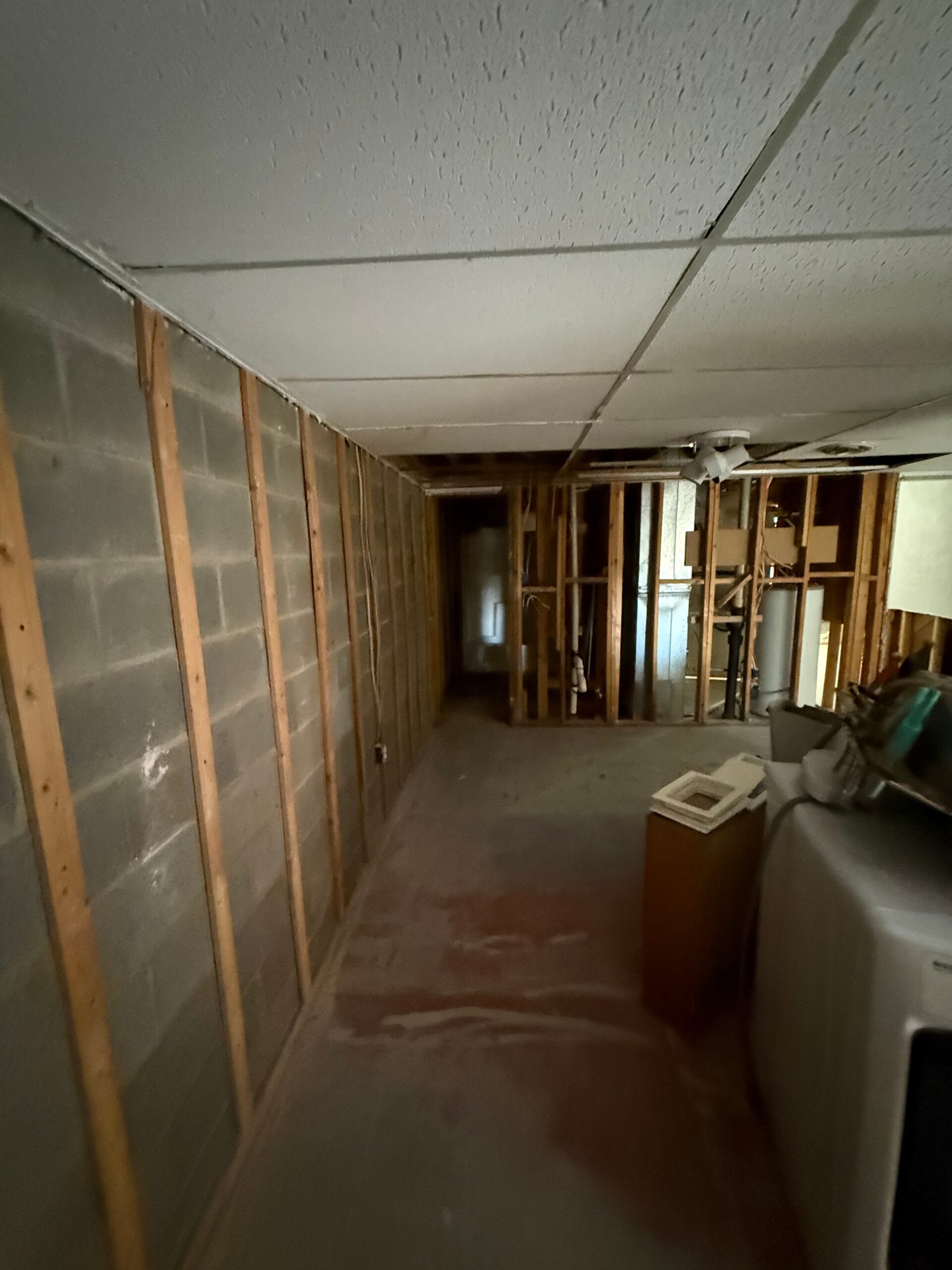 Residential Mold Remediation